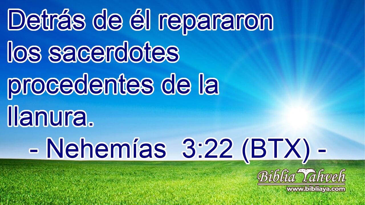 Detrás de él repararon los sacerdotes procedentes de la llanura.