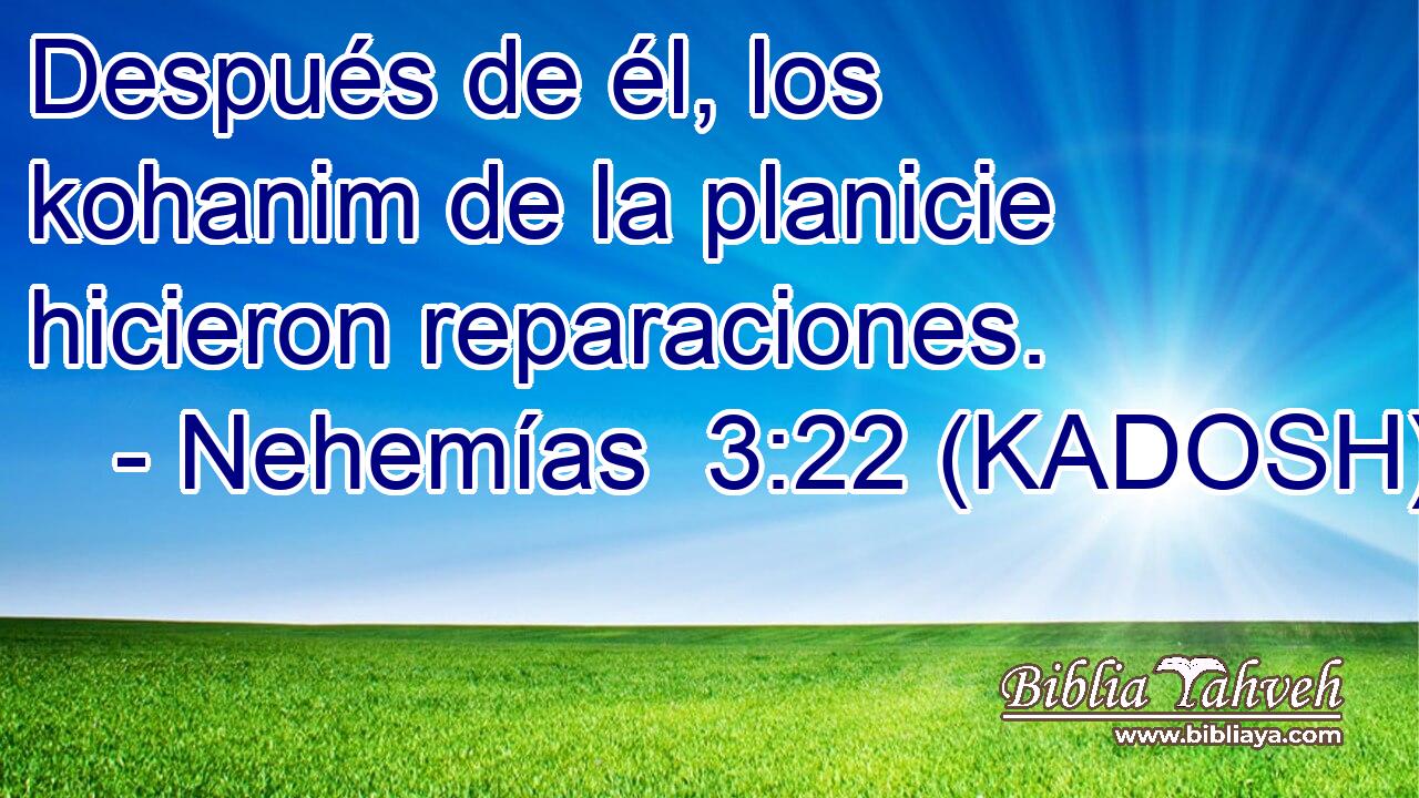  Después de él, los kohanim de la planicie hicieron reparaciones. 