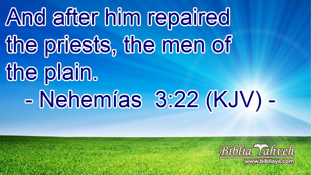 And after him repaired the priests, the men of the plain.