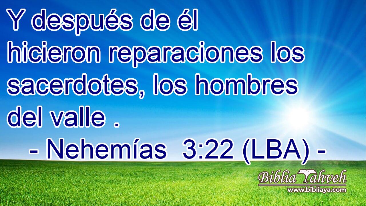 Y después de él hicieron reparaciones los sacerdotes, los hombres del valle .
