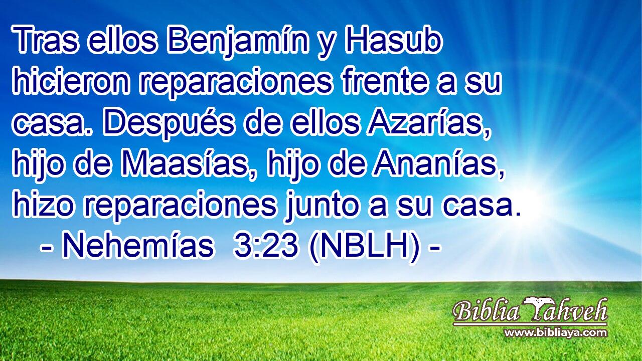  Tras ellos Benjamín y Hasub hicieron reparaciones frente a su casa. Después de ellos Azarías, hijo de Maasías, hijo de Ananías, hizo reparaciones junto a su casa. 