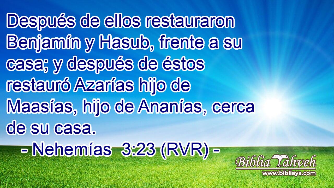 Después de ellos restauraron Benjamín y Hasub, frente a su casa; y después de éstos restauró Azarías hijo de Maasías, hijo de Ananías, cerca de su casa.