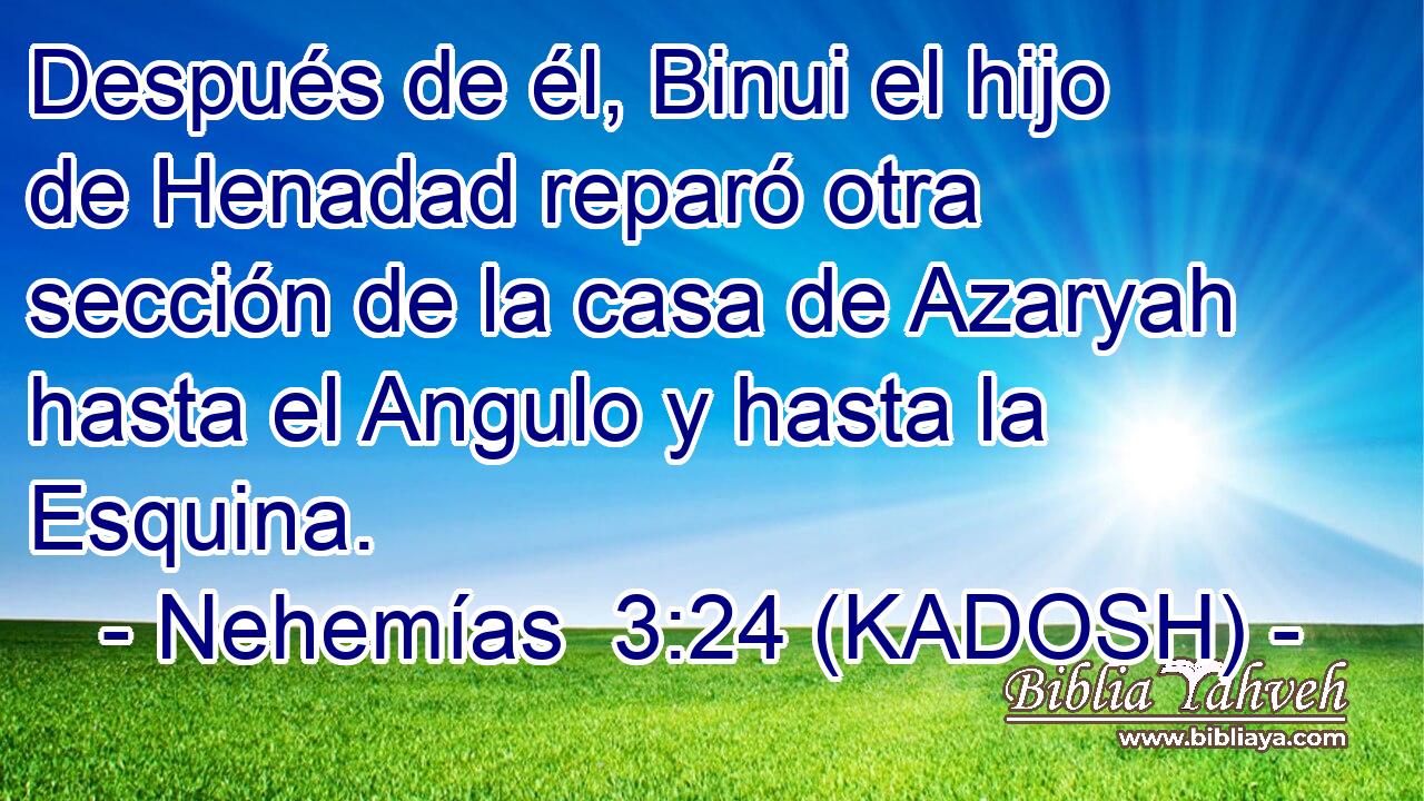  Después de él, Binui el hijo de Henadad reparó otra sección de la casa de Azaryah hasta el Angulo y hasta la Esquina. 