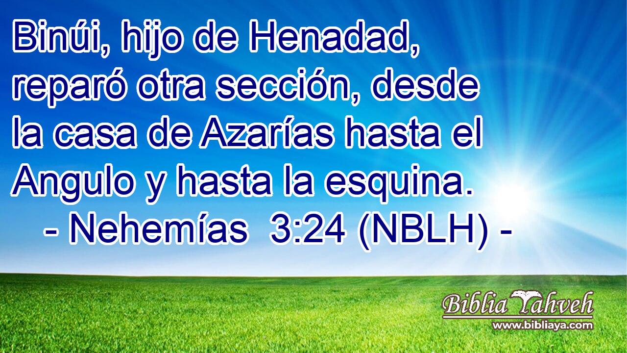  Binúi, hijo de Henadad, reparó otra sección, desde la casa de Azarías hasta el Angulo y hasta la esquina. 