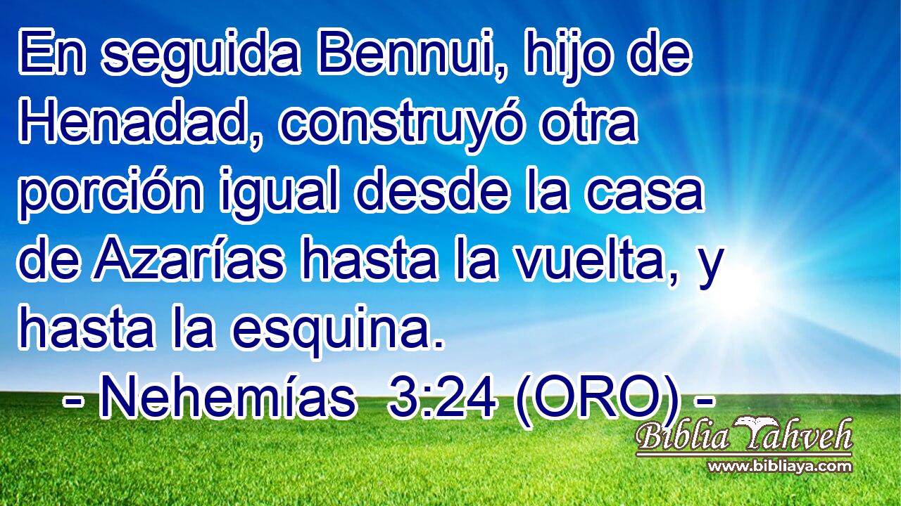  En seguida Bennui, hijo de Henadad, construyó otra porción igual desde la casa de Azarías hasta la vuelta, y hasta la esquina. 