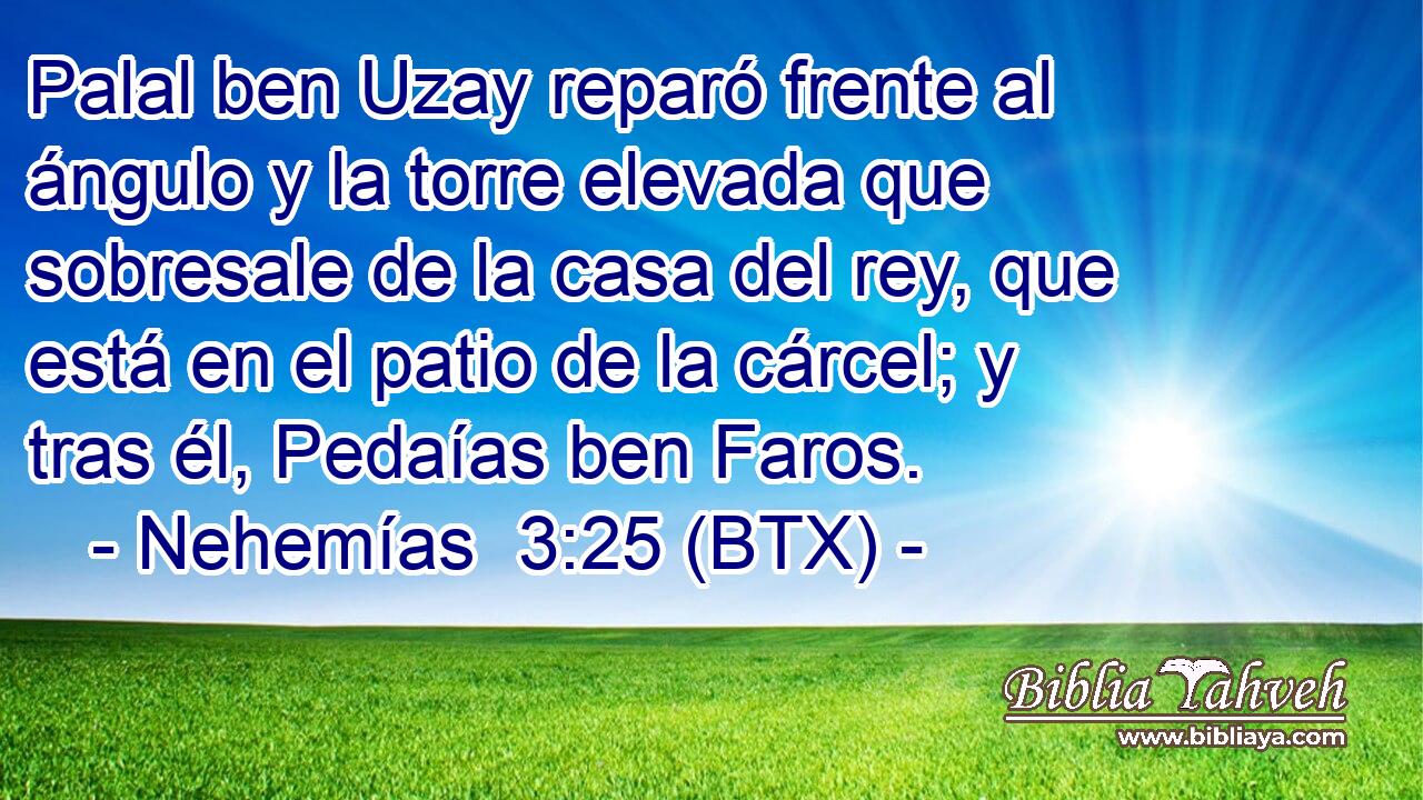 Palal ben Uzay reparó frente al ángulo y la torre elevada que sobresale de la casa del rey, que está en el patio de la cárcel; y tras él, Pedaías ben Faros.