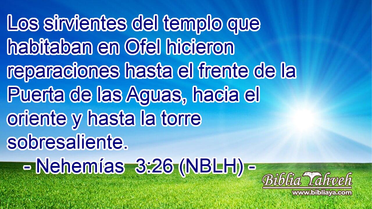  Los sirvientes del templo que habitaban en Ofel hicieron reparaciones hasta el frente de la Puerta de las Aguas, hacia el oriente y hasta la torre sobresaliente. 