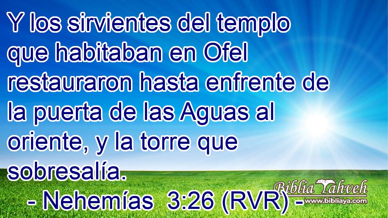 Y los sirvientes del templo que habitaban en Ofel restauraron hasta enfrente de la puerta de las Aguas al oriente, y la torre que sobresalía.