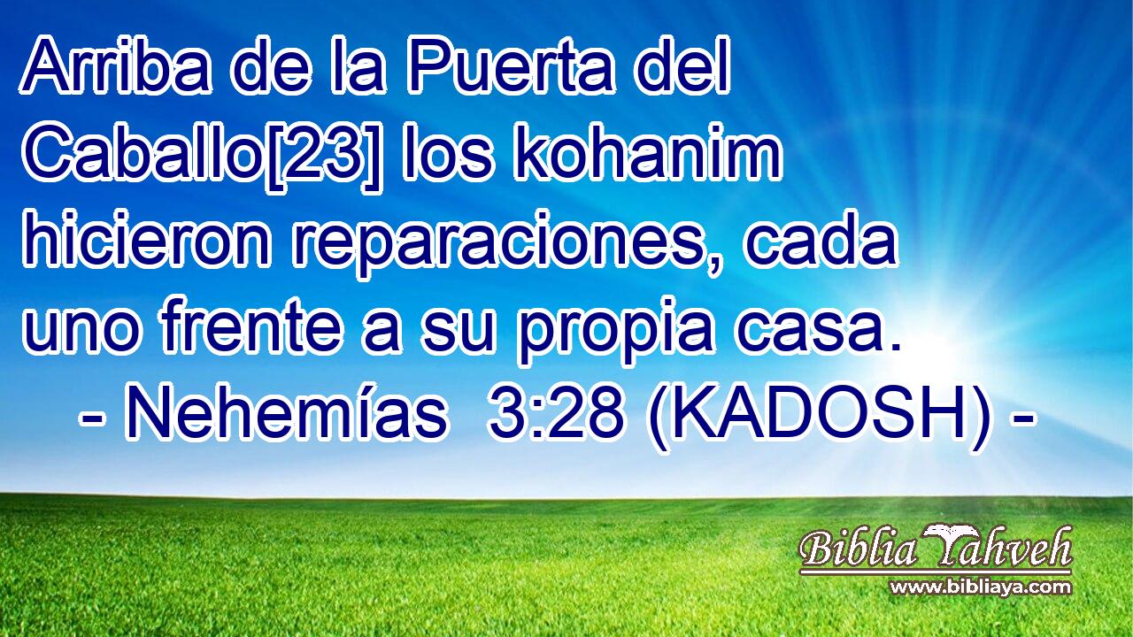  Arriba de la Puerta del Caballo[23] los kohanim hicieron reparaciones, cada uno frente a su propia casa. 