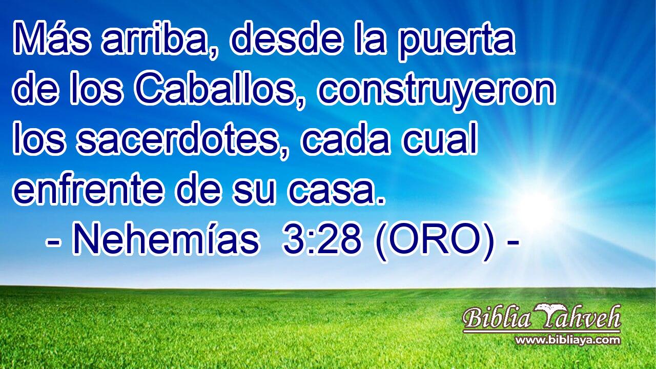  Más arriba, desde la puerta de los Caballos, construyeron los sacerdotes, cada cual enfrente de su casa. 