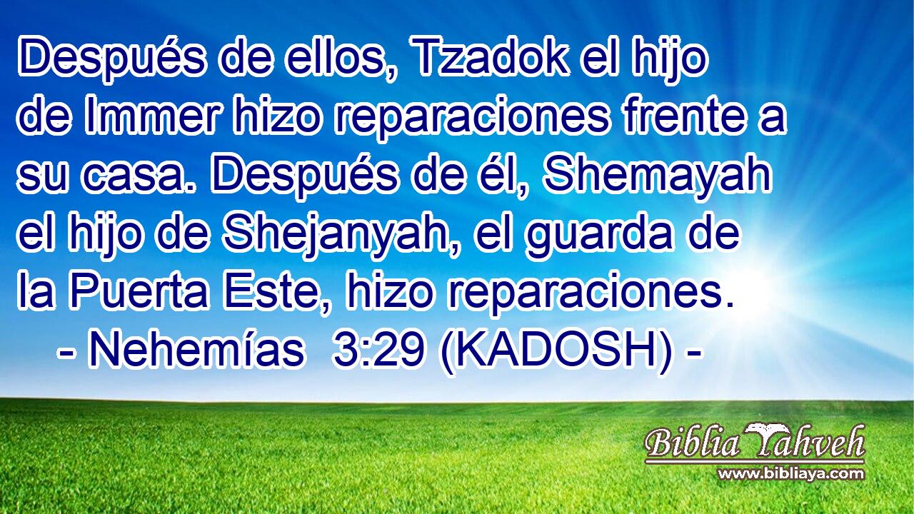  Después de ellos, Tzadok el hijo de Immer hizo reparaciones frente a su casa. Después de él, Shemayah el hijo de Shejanyah, el guarda de la Puerta Este, hizo reparaciones. 