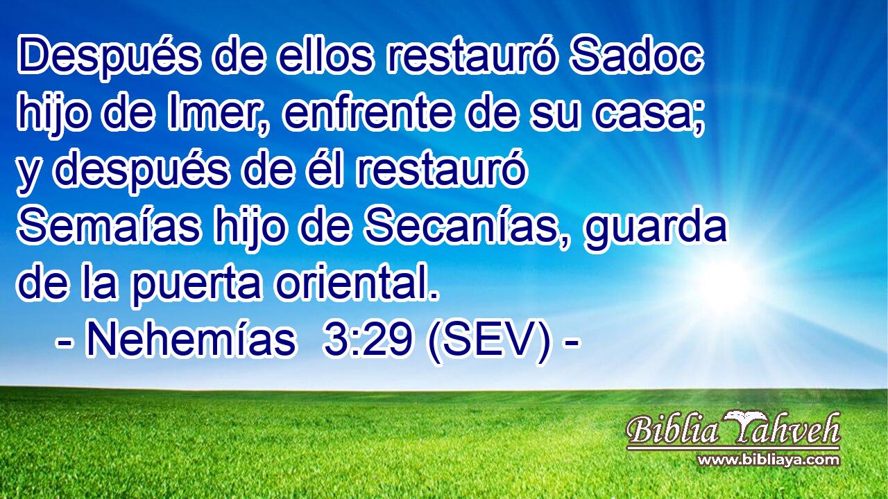 Después de ellos restauró Sadoc hijo de Imer, enfrente de su casa; y después de él restauró Semaías hijo de Secanías, guarda de la puerta oriental.