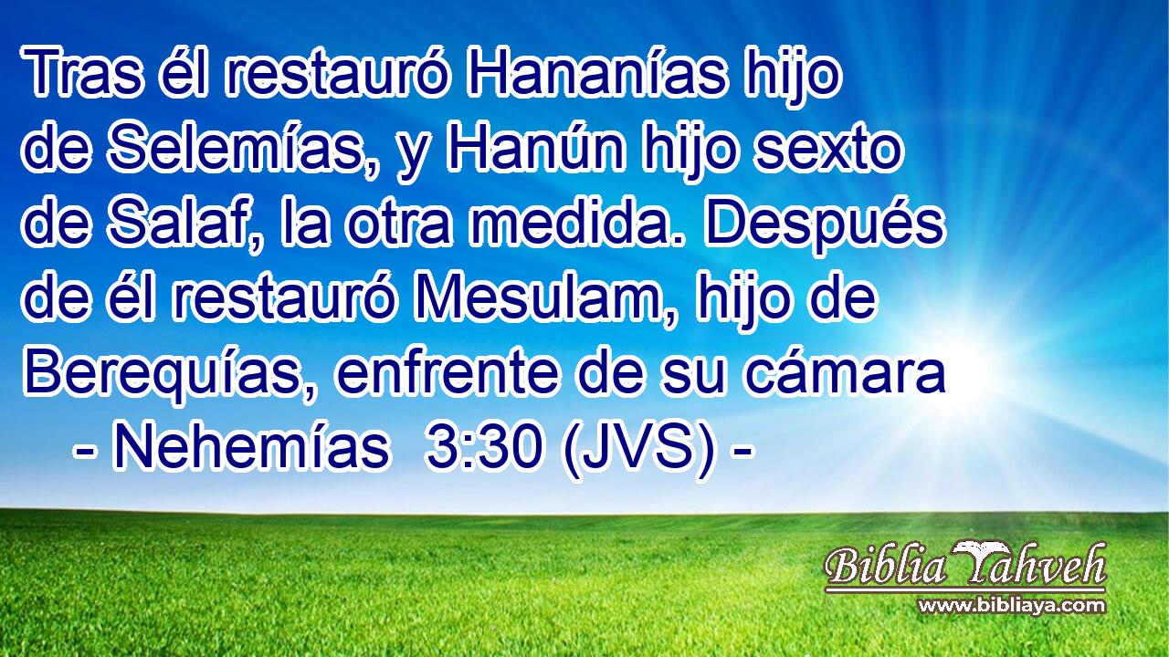 Tras él restauró Hananías hijo de Selemías, y Hanún hijo sexto de Salaf, la otra medida. Después de él restauró Mesulam, hijo de Berequías, enfrente de su cámara