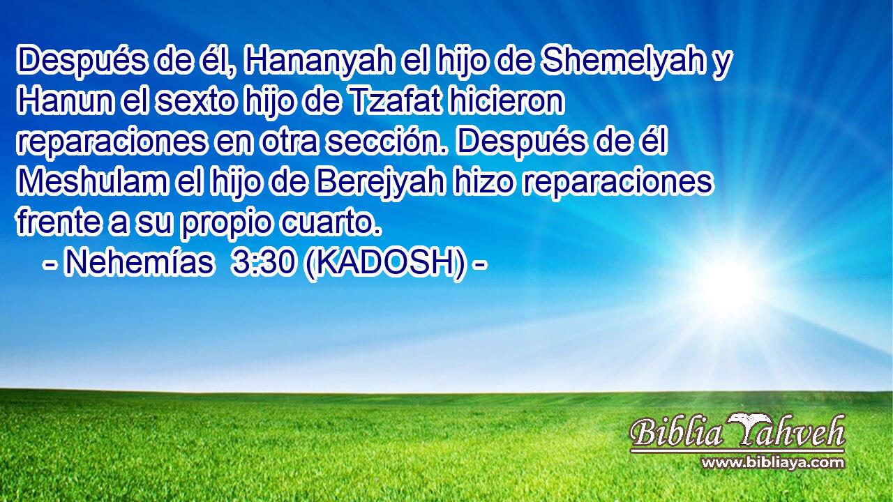  Después de él, Hananyah el hijo de Shemelyah y Hanun el sexto hijo de Tzafat hicieron reparaciones en otra sección. Después de él Meshulam el hijo de Berejyah hizo reparaciones frente a su propio cuarto. 