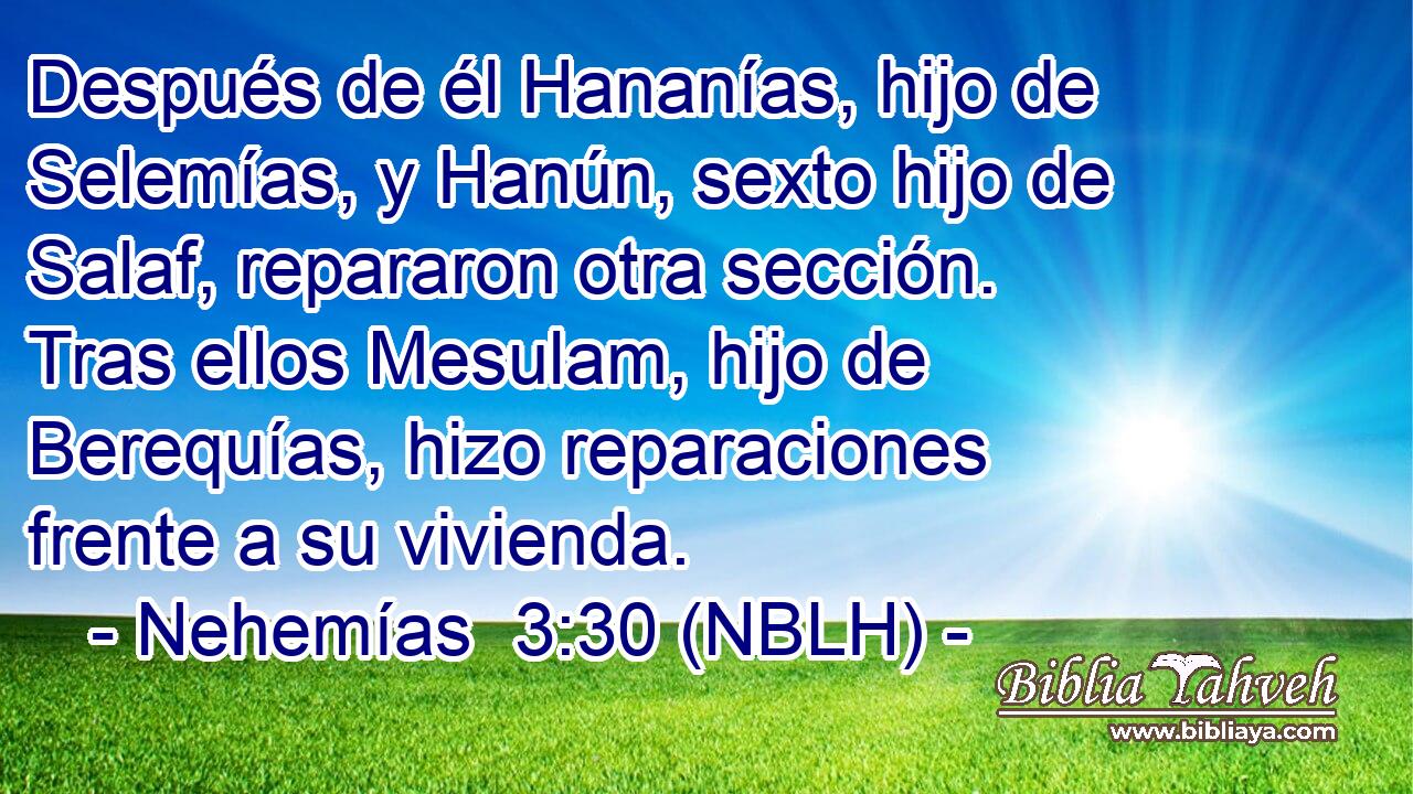  Después de él Hananías, hijo de Selemías, y Hanún, sexto hijo de Salaf, repararon otra sección. Tras ellos Mesulam, hijo de Berequías, hizo reparaciones frente a su vivienda. 