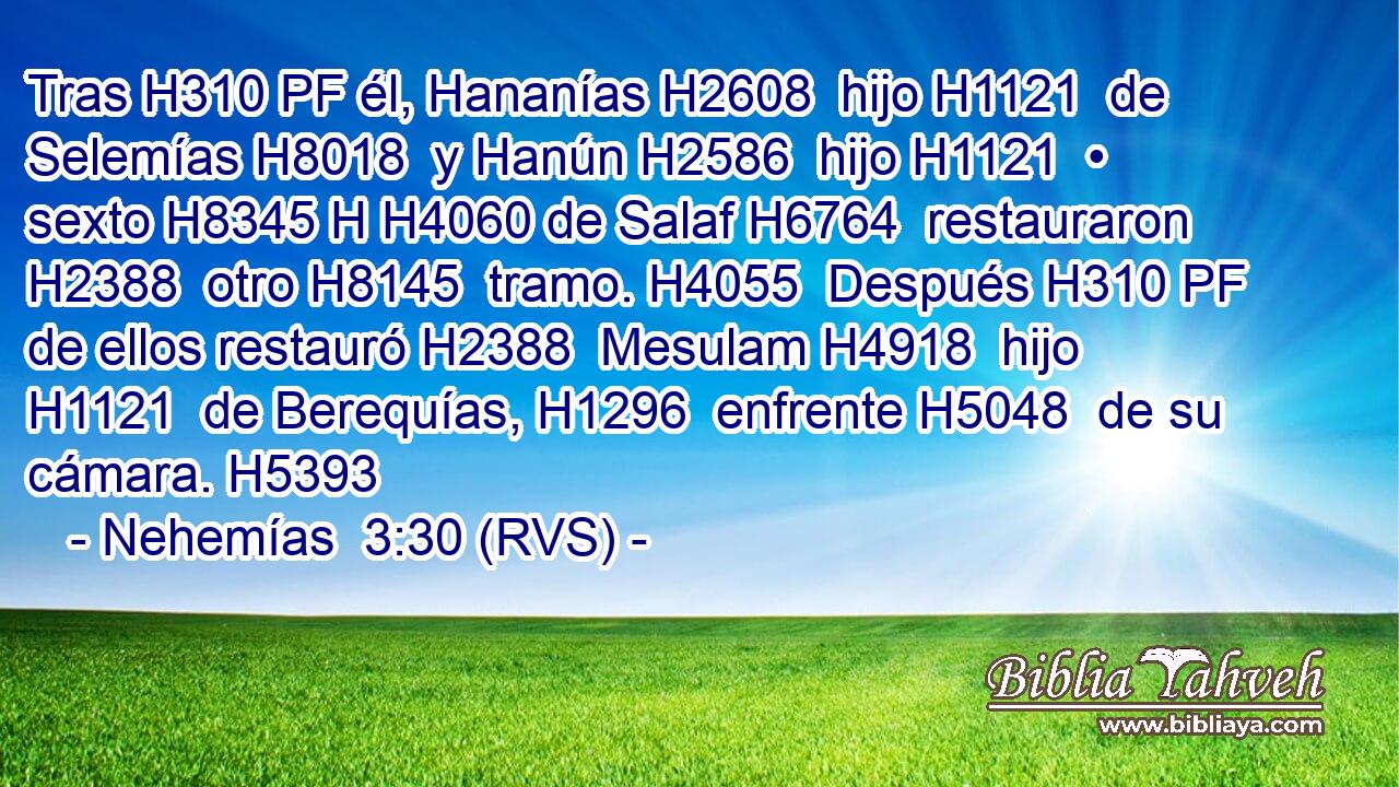 Tras H310 PF él, Hananías H2608  hijo H1121  de Selemías H8018  y Hanún H2586  hijo H1121  • sexto H8345 H H4060 de Salaf H6764  restauraron H2388  otro H8145  tramo. H4055  Después H310 PF de ellos restauró H2388  Mesulam H4918  hijo H1121  de Berequías, H1296  enfrente H5048  de su cámara. H5393  