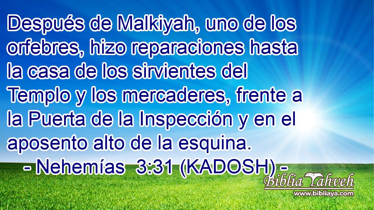  Después de Malkiyah, uno de los orfebres, hizo reparaciones hasta la casa de los sirvientes del Templo y los mercaderes, frente a la Puerta de la Inspección y en el aposento alto de la esquina. 