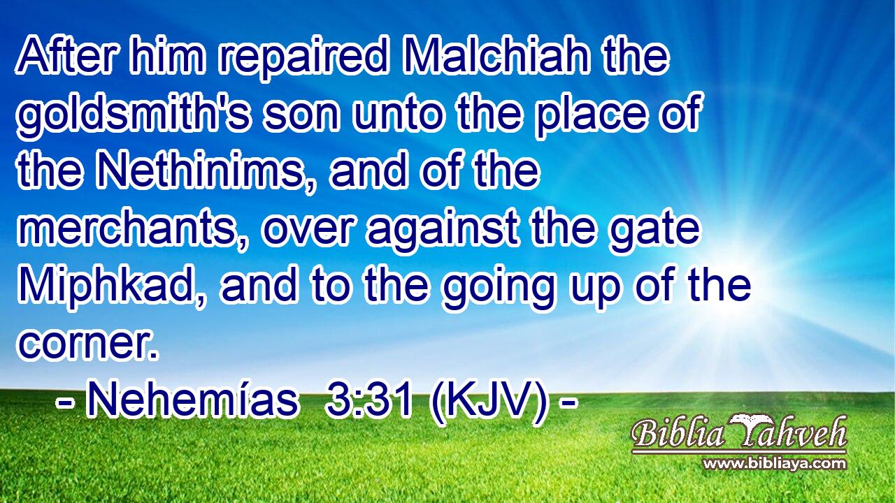 After him repaired Malchiah the goldsmith's son unto the place of the Nethinims, and of the merchants, over against the gate Miphkad, and to the going up of the corner.
