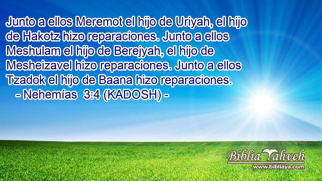  Junto a ellos Meremot el hijo de Uriyah, el hijo de Hakotz hizo reparaciones. Junto a ellos Meshulam el hijo de Berejyah, el hijo de Mesheizavel hizo reparaciones. Junto a ellos Tzadok el hijo de Baana hizo reparaciones. 