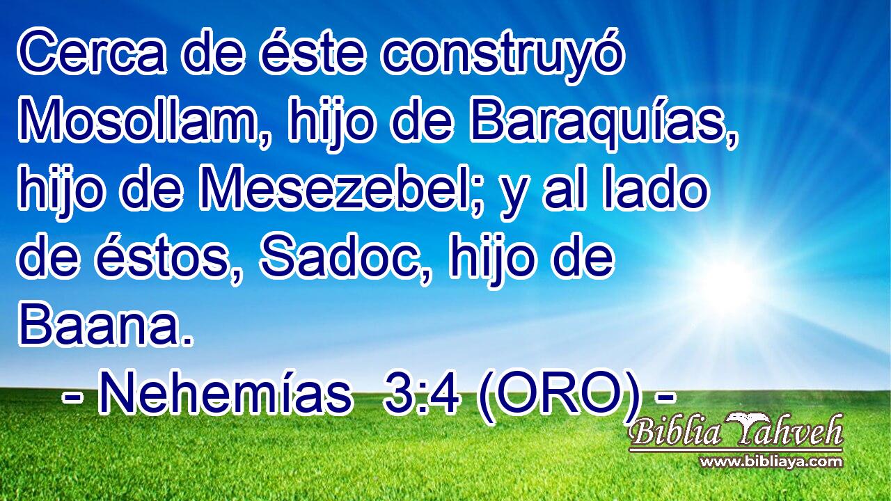  Cerca de éste construyó Mosollam, hijo de Baraquías, hijo de Mesezebel; y al lado de éstos, Sadoc, hijo de Baana. 
