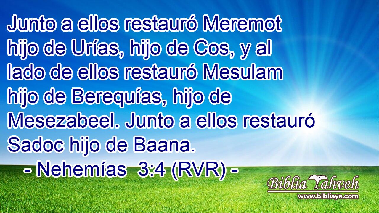 Junto a ellos restauró Meremot hijo de Urías, hijo de Cos, y al lado de ellos restauró Mesulam hijo de Berequías, hijo de Mesezabeel. Junto a ellos restauró Sadoc hijo de Baana.