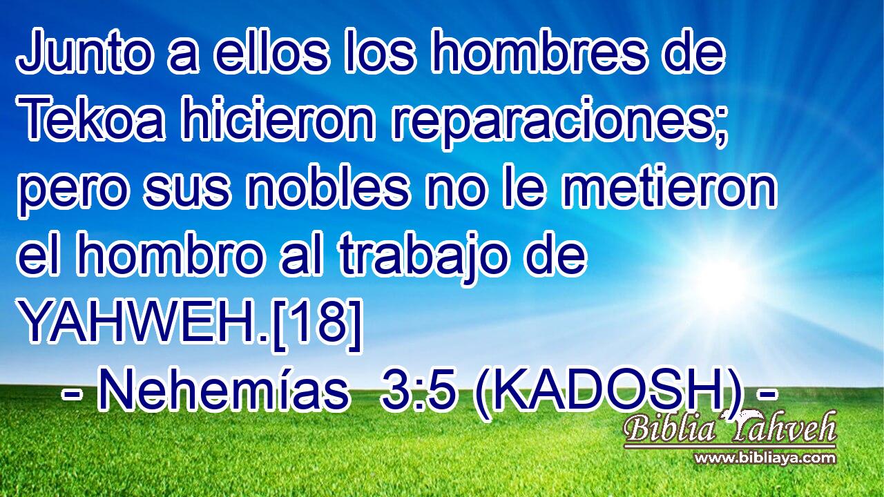  Junto a ellos los hombres de Tekoa hicieron reparaciones; pero sus nobles no le metieron el hombro al trabajo de YAHWEH.[18] 