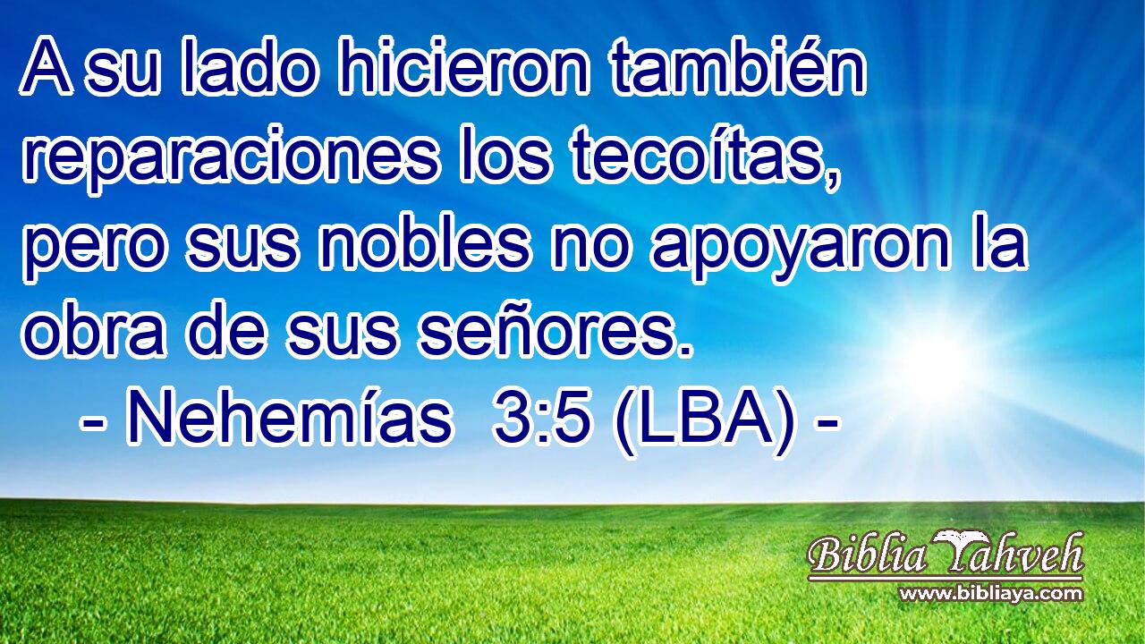 A su lado hicieron también reparaciones los tecoítas, pero sus nobles no apoyaron la obra de sus señores.