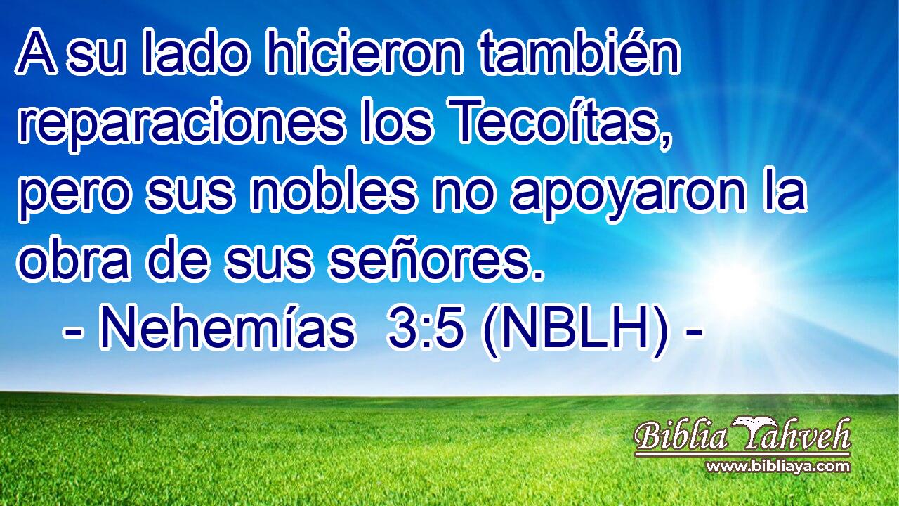  A su lado hicieron también reparaciones los Tecoítas, pero sus nobles no apoyaron la obra de sus señores. 