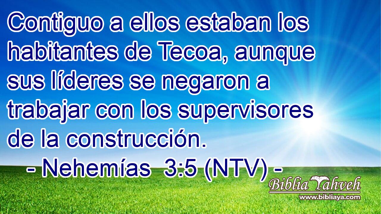 Contiguo a ellos estaban los habitantes de Tecoa, aunque sus líderes se negaron a trabajar con los supervisores de la construcción.