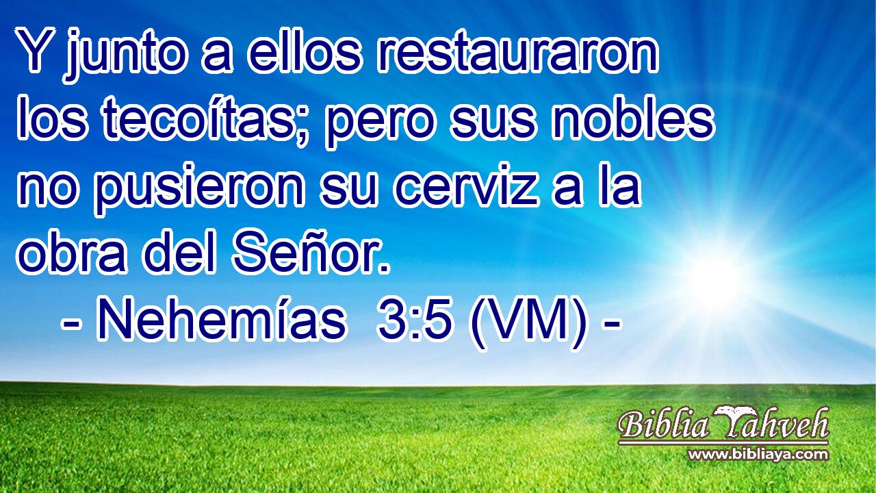 Y junto a ellos restauraron los tecoítas; pero sus nobles no pusieron su cerviz a la obra del Señor. 