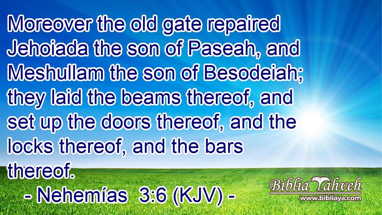 Moreover the old gate repaired Jehoiada the son of Paseah, and Meshullam the son of Besodeiah; they laid the beams thereof, and set up the doors thereof, and the locks thereof, and the bars thereof.