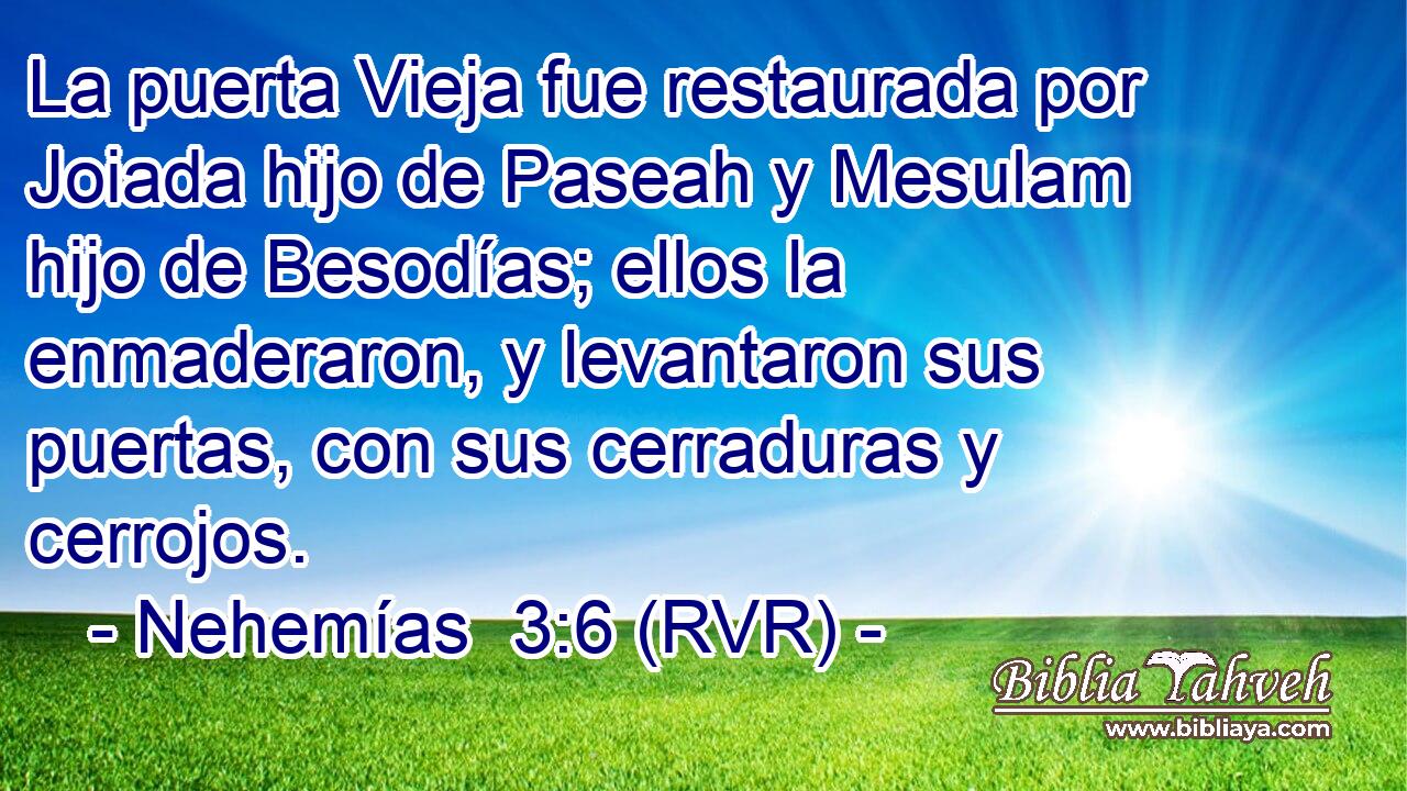 La puerta Vieja fue restaurada por Joiada hijo de Paseah y Mesulam hijo de Besodías; ellos la enmaderaron, y levantaron sus puertas, con sus cerraduras y cerrojos.