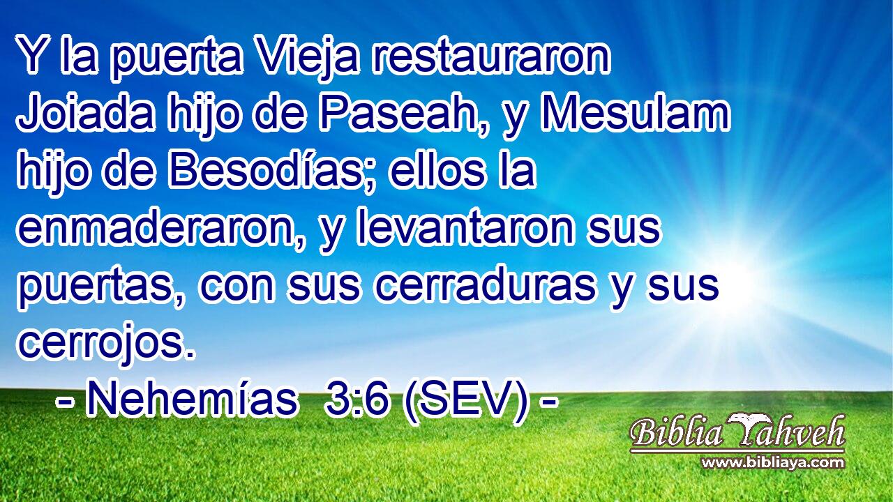 Y la puerta Vieja restauraron Joiada hijo de Paseah, y Mesulam hijo de Besodías; ellos la enmaderaron, y levantaron sus puertas, con sus cerraduras y sus cerrojos.