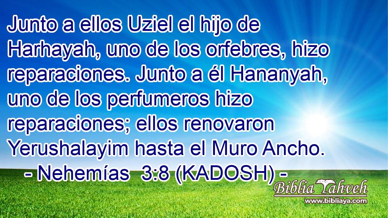  Junto a ellos Uziel el hijo de Harhayah, uno de los orfebres, hizo reparaciones. Junto a él Hananyah, uno de los perfumeros hizo reparaciones; ellos renovaron Yerushalayim hasta el Muro Ancho. 