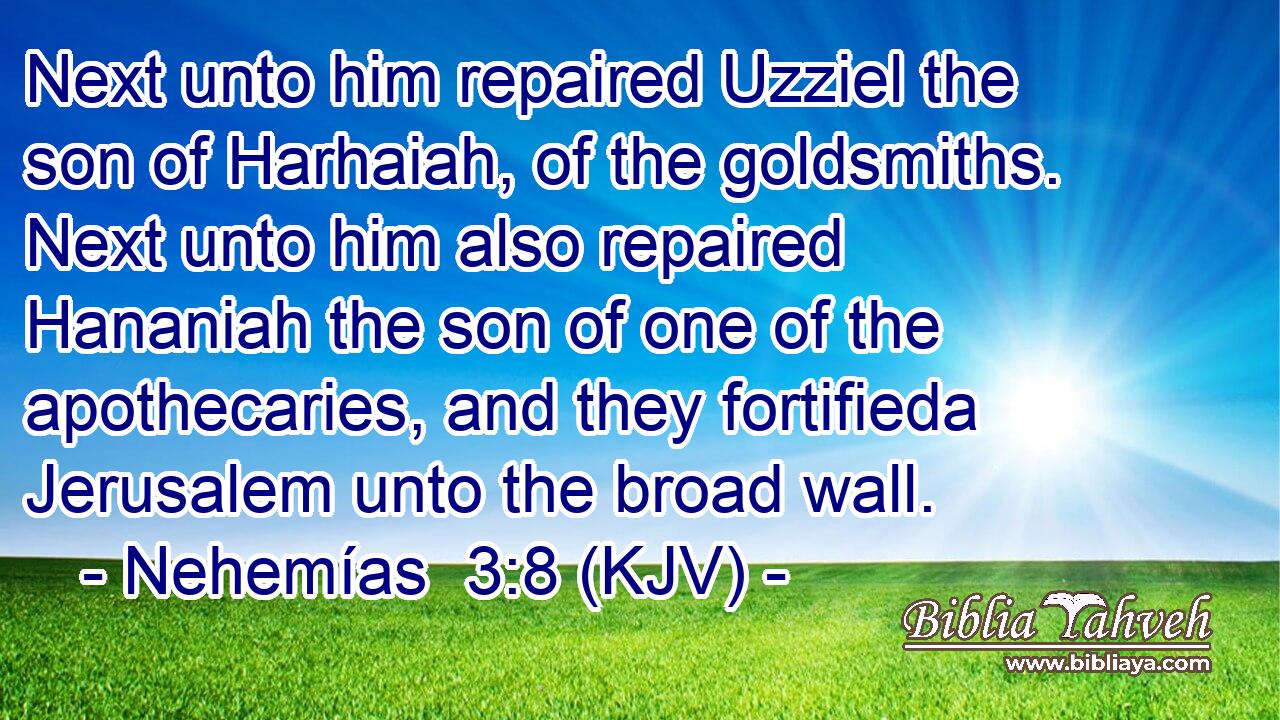 Next unto him repaired Uzziel the son of Harhaiah, of the goldsmiths. Next unto him also repaired Hananiah the son of one of the apothecaries, and they fortifieda Jerusalem unto the broad wall.