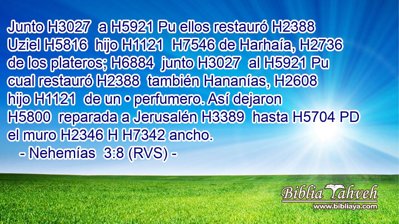 Junto H3027  a H5921 Pu ellos restauró H2388  Uziel H5816  hijo H1121  H7546 de Harhaía, H2736  de los plateros; H6884  junto H3027  al H5921 Pu cual restauró H2388  también Hananías, H2608  hijo H1121  de un • perfumero. Así dejaron H5800  reparada a Jerusalén H3389  hasta H5704 PD el muro H2346 H H7342 ancho. 