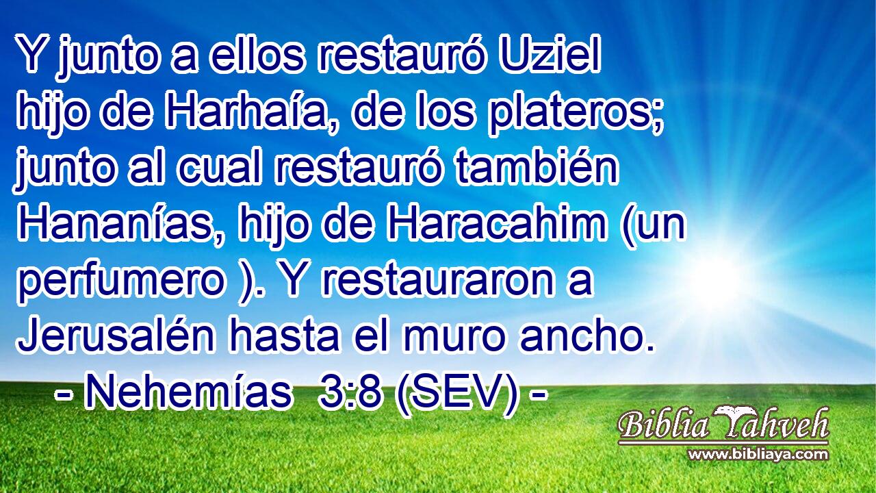 Y junto a ellos restauró Uziel hijo de Harhaía, de los plateros; junto al cual restauró también Hananías, hijo de Haracahim (un perfumero ). Y restauraron a Jerusalén hasta el muro ancho.