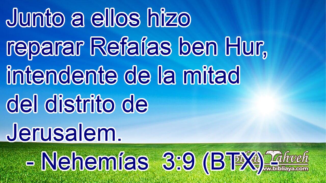 Junto a ellos hizo reparar Refaías ben Hur, intendente de la mitad del distrito de Jerusalem.