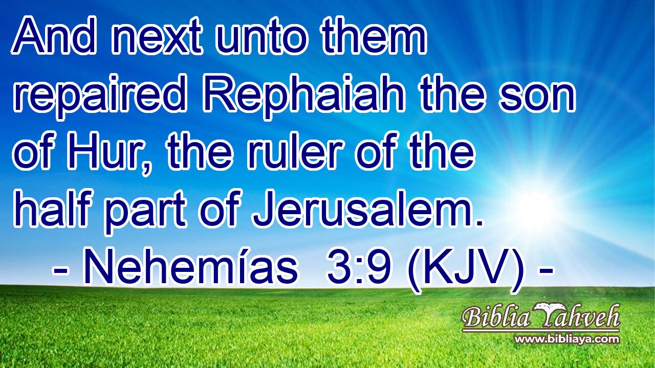 And next unto them repaired Rephaiah the son of Hur, the ruler of the half part of Jerusalem.
