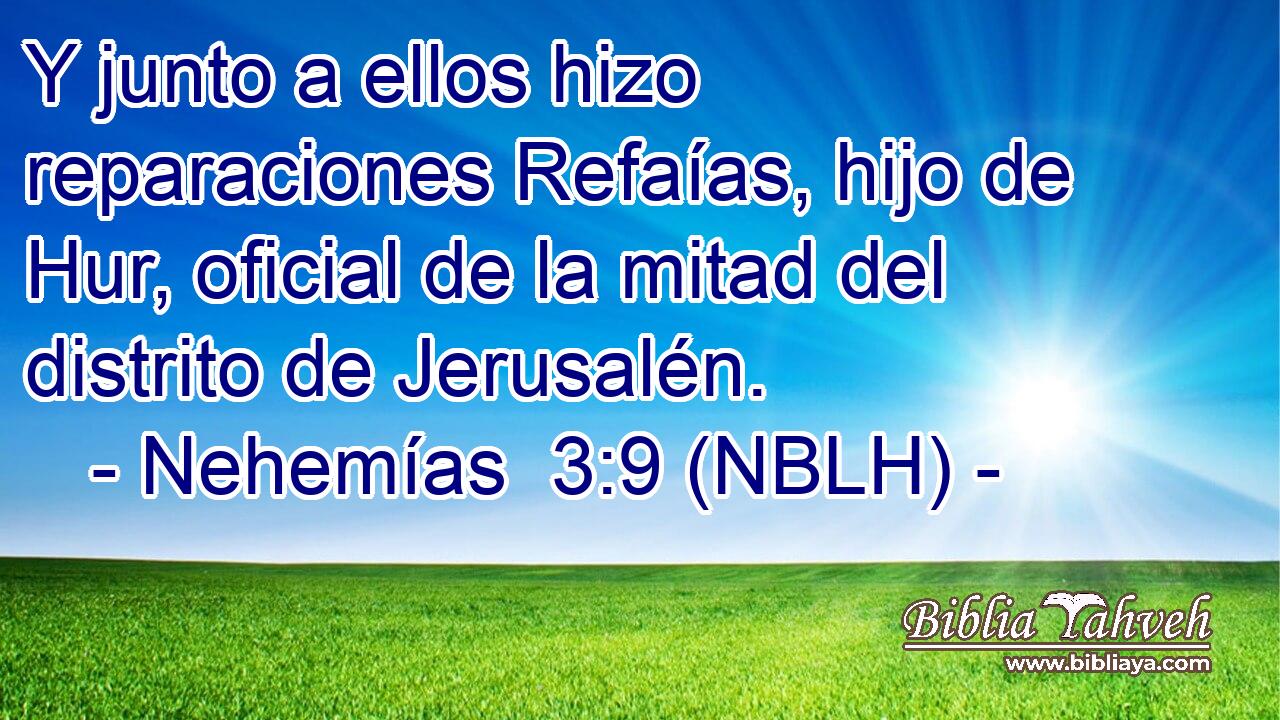  Y junto a ellos hizo reparaciones Refaías, hijo de Hur, oficial de la mitad del distrito de Jerusalén. 