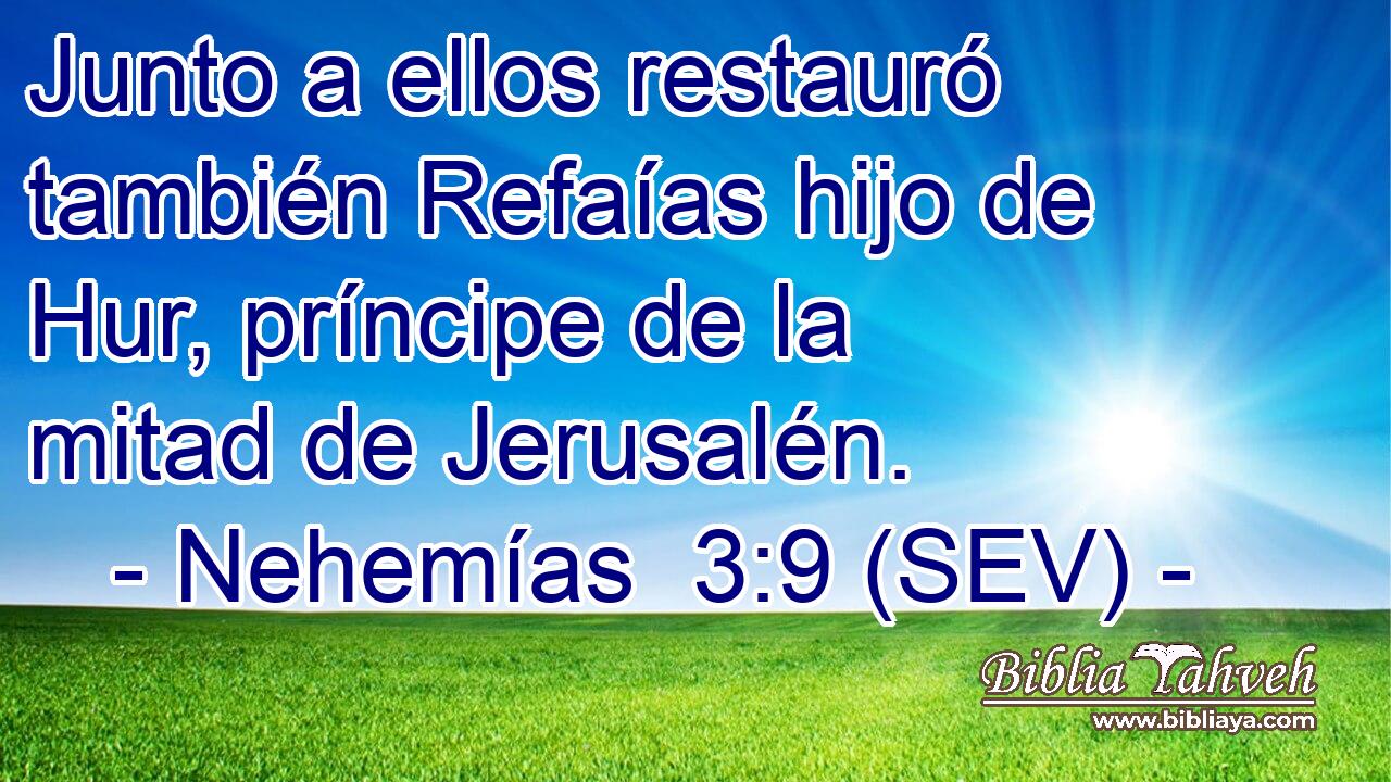 Junto a ellos restauró también Refaías hijo de Hur, príncipe de la mitad de Jerusalén.