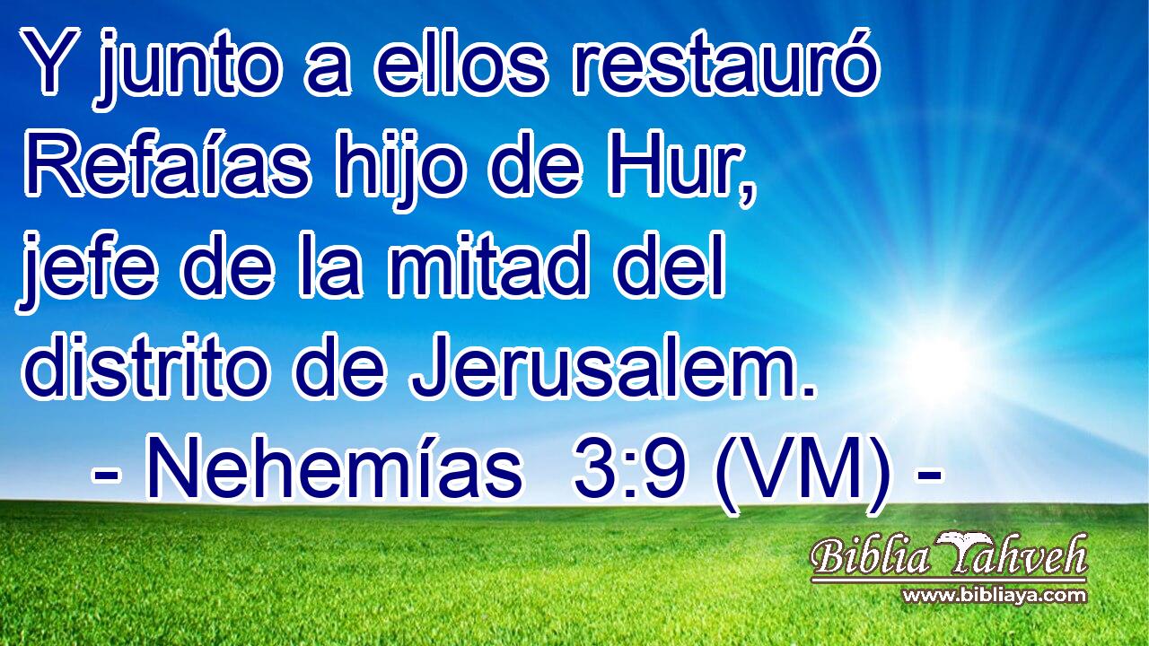  Y junto a ellos restauró Refaías hijo de Hur, jefe de la mitad del distrito de Jerusalem. 