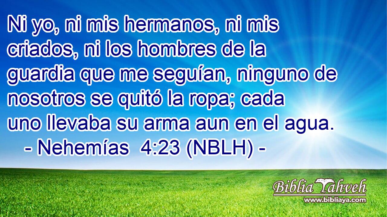  Ni yo, ni mis hermanos, ni mis criados, ni los hombres de la guardia que me seguían, ninguno de nosotros se quitó la ropa; cada uno llevaba su arma aun en el agua. 