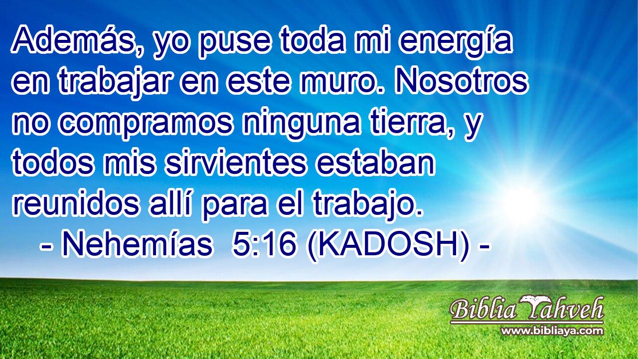  Además, yo puse toda mi energía en trabajar en este muro. Nosotros no compramos ninguna tierra, y todos mis sirvientes estaban reunidos allí para el trabajo. 