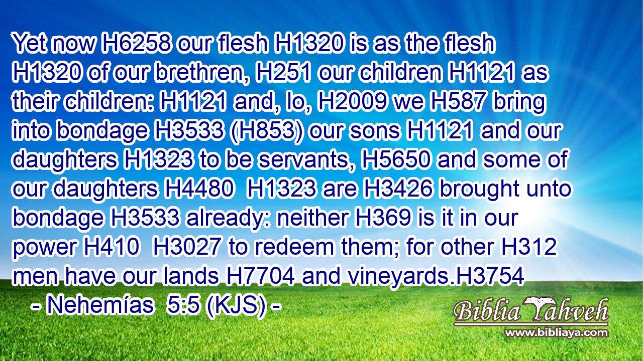 Yet now H6258 our flesh H1320 is as the flesh H1320 of our brethren, H251 our children H1121 as their children: H1121 and, lo, H2009 we H587 bring into bondage H3533 (H853) our sons H1121 and our daughters H1323 to be servants, H5650 and some of our daughters H4480  H1323 are H3426 brought unto bondage H3533 already: neither H369 is it in our power H410  H3027 to redeem them; for other H312 men have our lands H7704 and vineyards.H3754