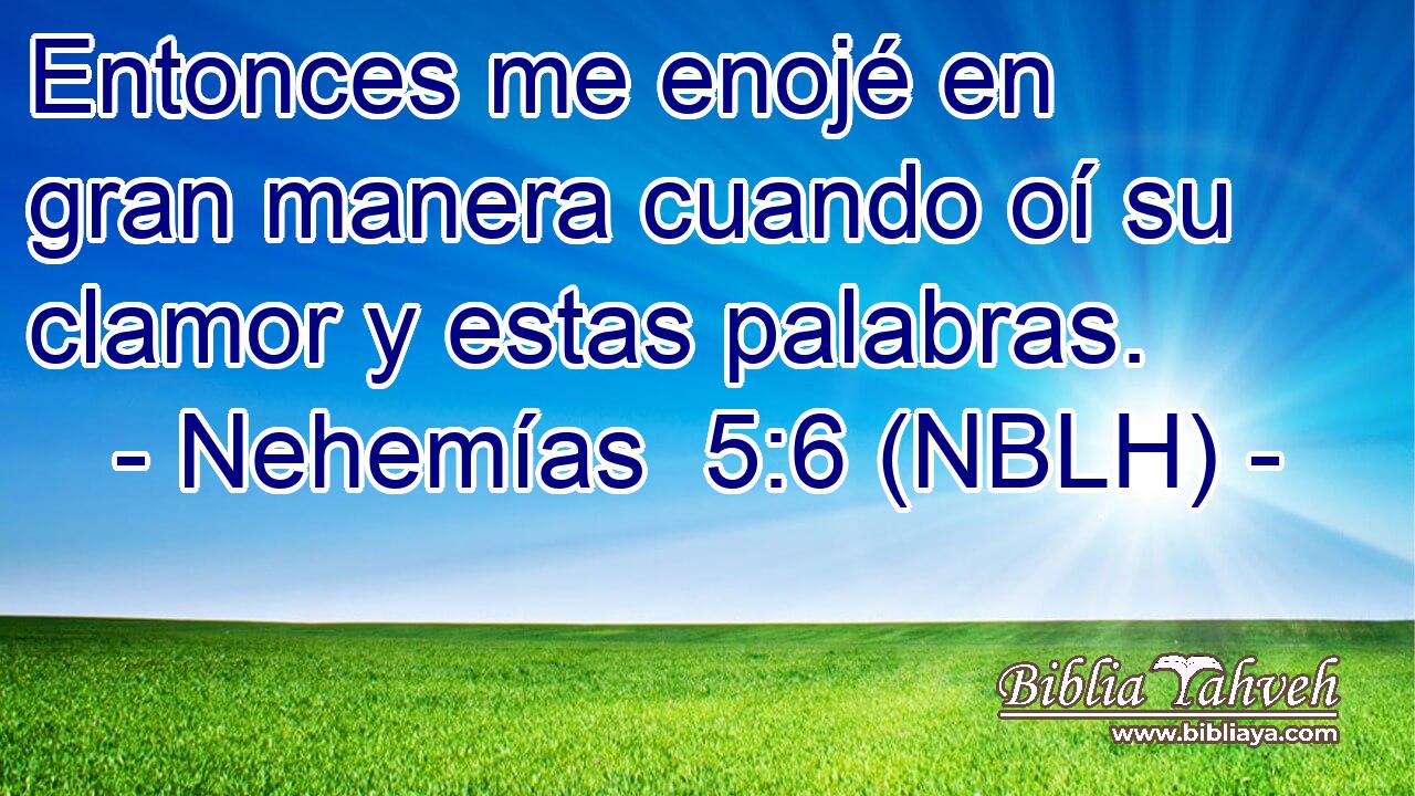  Entonces me enojé en gran manera cuando oí su clamor y estas palabras. 