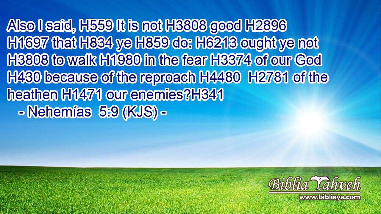 Also I said, H559 It is not H3808 good H2896  H1697 that H834 ye H859 do: H6213 ought ye not H3808 to walk H1980 in the fear H3374 of our God H430 because of the reproach H4480  H2781 of the heathen H1471 our enemies?H341