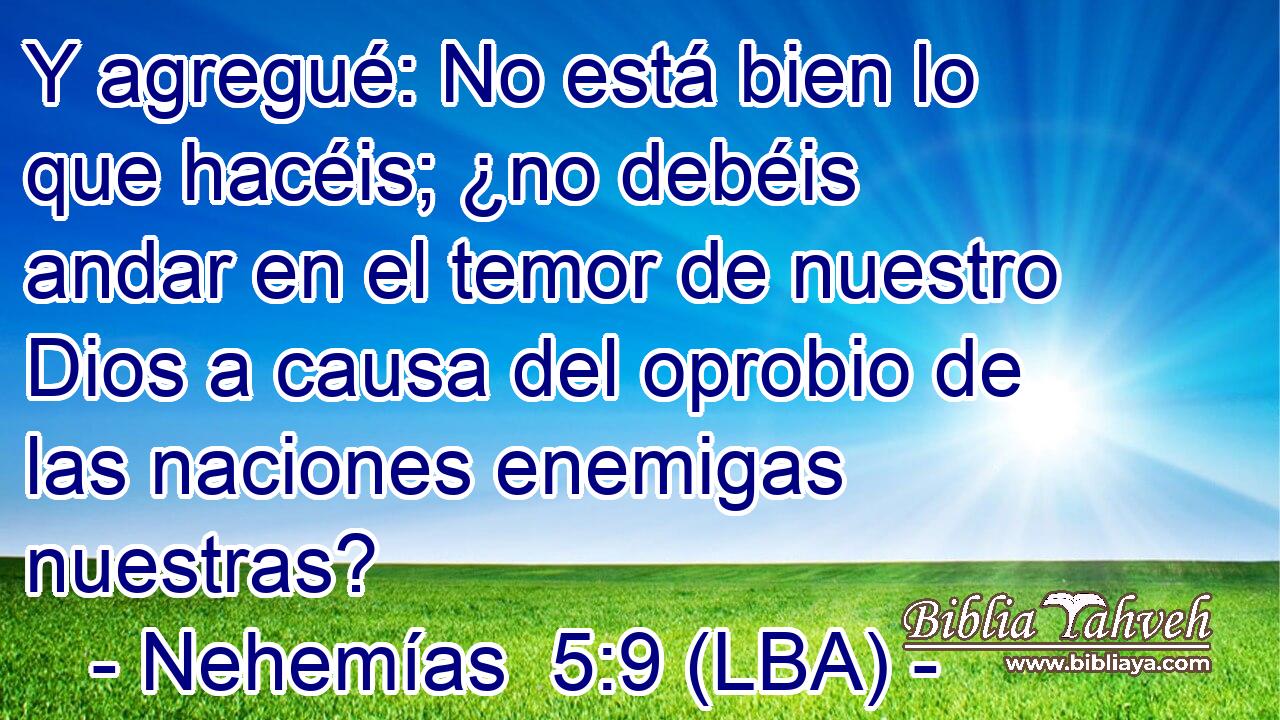 Y agregué: No está bien lo que hacéis; ¿no debéis andar en el temor de nuestro Dios a causa del oprobio de las naciones enemigas nuestras?