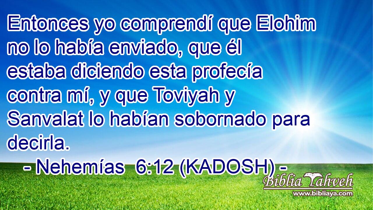  Entonces yo comprendí que Elohim no lo había enviado, que él estaba diciendo esta profecía contra mí, y que Toviyah y Sanvalat lo habían sobornado para decirla. 