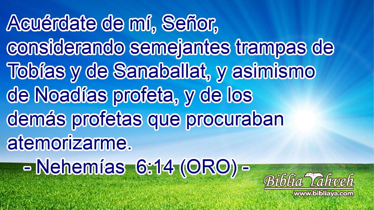  Acuérdate de mí, Señor, considerando semejantes trampas de Tobías y de Sanaballat, y asimismo de Noadías profeta, y de los demás profetas que procuraban atemorizarme. 